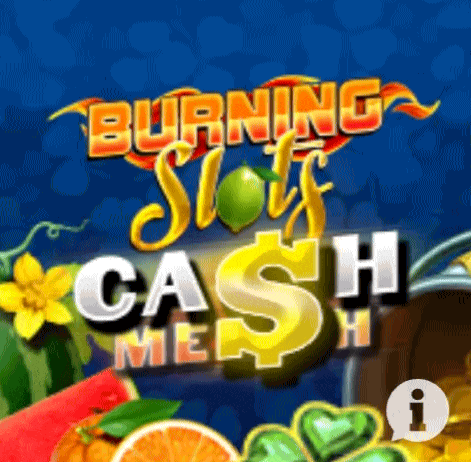 play burning slots in platinum slots casino